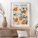 Plakat Boho-appelsintræ - Citrus Sinensis - Tunaboylu
