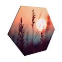 Sekskantet Billede Græsser i lyset af den glødende sol - Treechild - Aluminium Dibond
