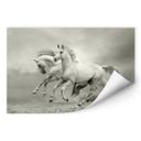 Zelfklevende Poster - Paarden in Galop