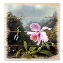 Cuadro de madera Heade - Naturaleza muerta con orquídea y colibríes - 40x41,5 cm