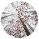 Vinilo decorativo copa de árbol con hojas rojas - Redondo - Coman