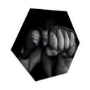 Hexagon Dibond Vrican - Een Linkse