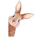Wallsticker med kaninhoved i farver - Korenkova