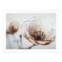 Póster Flores Flor Seca Beige Naturaleza Poesía - Treechild