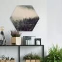 Hexagon Dibond Nevel in het Bos 02
