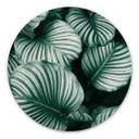 Tableau sur alu-Dibond rond Urban Jungle - Calathea Orbifolia