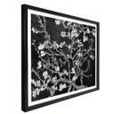 Plakat - van Gogh - Mandelblomst - sort