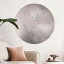 Vinilo decorativo Hoja de hierba con gotas de rocío - Sillen - Redondo