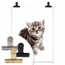 Póster gatita embarazada