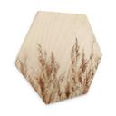 Hexagone - Bois Roseau