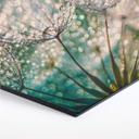 Hexagon - Alu-Dibond - Delgado - Glittery Dandelions