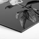Hexagone - alu-Dibond 1X Studio - Pivoine noir et blanc