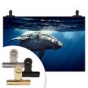 Poster - Baleine