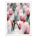 Plakat - Annie - Spring Tulips