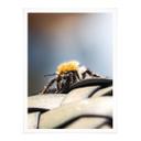 Póster Marrón - Macro abeja