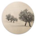 Cuadro de madera Carrillo Lopez - Paisaje blanco - Redondo