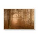 Cuadro de madera bruma y luz en el bosque otoñal - Maier