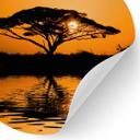 Wallsticker Afrika | Landskab ved solnedgang - Rund