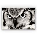 Tableau Forex - Fier hibou