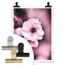 Plakat - Blomsterpragt - detaljer