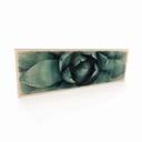 Houten Bordje Agave 02