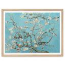 Póster van Gogh - Almendros en flor