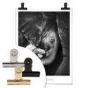 Plakat - Elefantbaby - Keep me safe