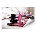 Zelfklevende Poster  Orchidee