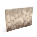 Houten Wanddecoratie paardenbloemen droom in beige - Ms Tiff