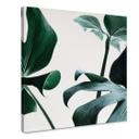 Lienzo Jungla Urbana 03 - Monstera Deliciosa- Cuadrado