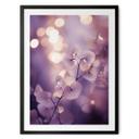 Póster Orquídea delicada de color púrpura - Treechild