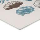 Glasbillede - Filigran alger og skaller | Maritim illustration - casa cartissi