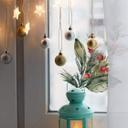 Cuadro de ventana rama de invierno con falsa baya