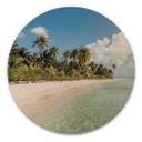 Cuadro de madera palmera playa en los mares del sur - Colombo - Redondo