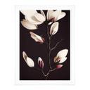 Plakat Treechild - Magnolia Blossoms