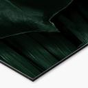 Keukenachterwand Dark Green Jungle