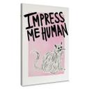Cuadro lienzo gato: Impress me Human - Bloom