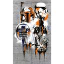 Tapetpanel i fleece -  Star Wars Celebrate The Galaxy