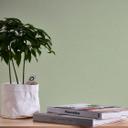 A.S. Création Attractive Papier peint intissé uni - vert