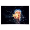 Poster - Semenov - Amazing Jellyfish
