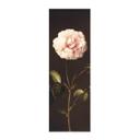 Póster de tela Dietzsch - Rosa de vinagre con abejorro - Panorama