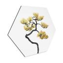 Hexagon Dibond Bonsai i balance - Amini