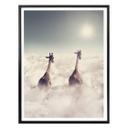 Plakat - Loose - Giant Giraffes