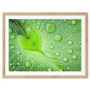 Póster - Corazón de gotas de agua sobre una hoja verde