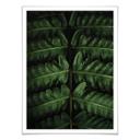 Plakat - Botanical 02