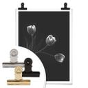 Plakat - Pan - Tulipantrio
