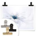 Plakat - Parker - Frozen Flower