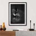 Póster Tjandra - Reflejo de pájaro - blanco y negro