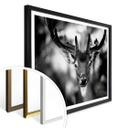 Poster Sandra - Jeune cerf