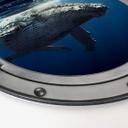 Tableau en alu-Dibond hublot effet 3D - Baleine - Rond